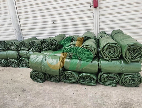 三防蜜桃在线播放视频