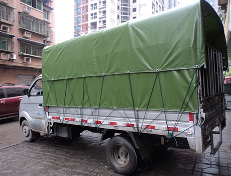 汽車蜜桃在线播放视频
